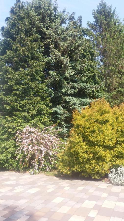 Appartamento Bukowe Zacisze Gąski Esterno foto